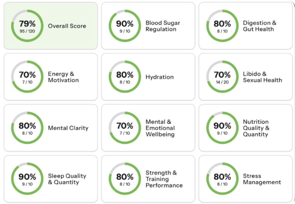 MHC Audit dashboard 79% overall
