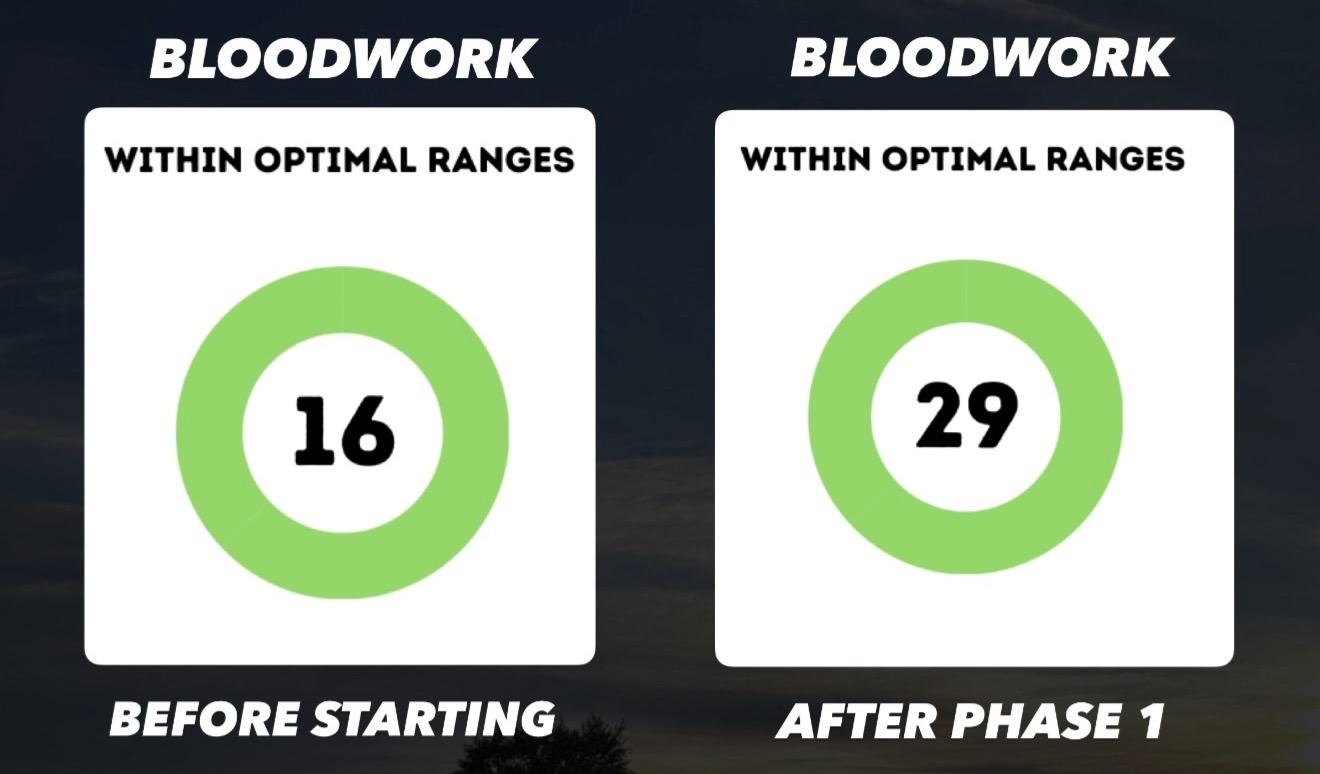 Bloodwork comparison: 16 markers before Phase 1, 29 after